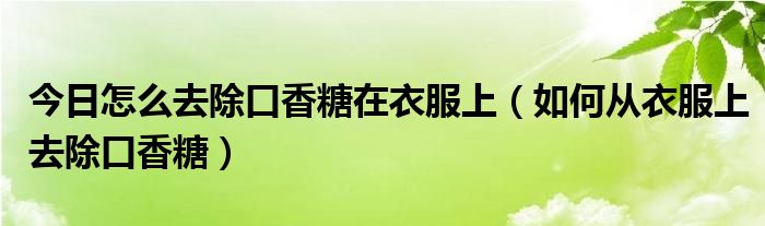 今日怎么去除口香糖在衣服上（如何从衣服上去除口香糖）