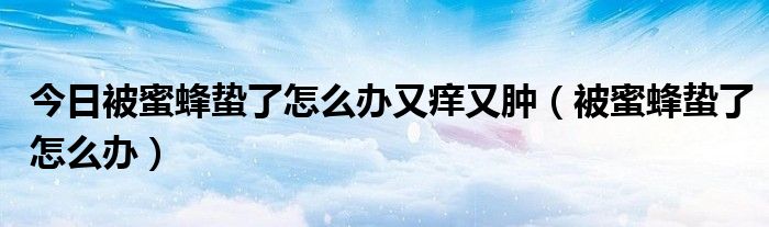 今日被蜜蜂蛰了怎么办又痒又肿（被蜜蜂蛰了怎么办）