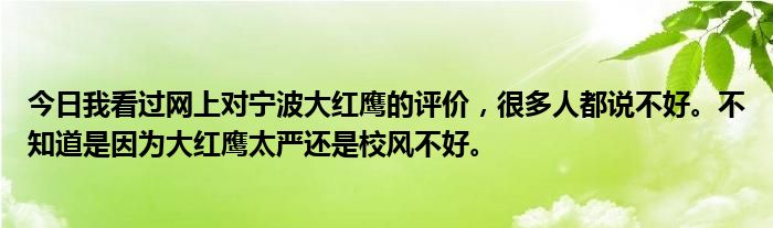 今日我看过网上对宁波大红鹰的评价，很多人都说不好。不知道是因为大红鹰太严还是校风不好。