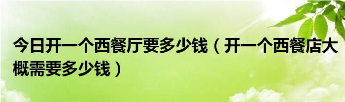 今日开一个西餐厅要多少钱（开一个西餐店大概需要多少钱）