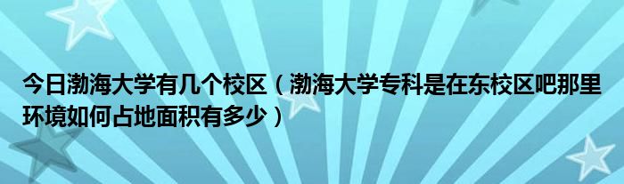 今日渤海大学有几个校区（渤海大学专科是在东校区吧那里环境如何占地面积有多少）