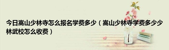 今日嵩山少林寺怎么报名学费多少（嵩山少林寺学费多少少林武校怎么收费）