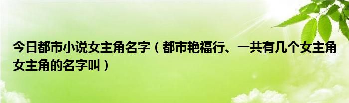 今日都市小说女主角名字（都市艳福行、一共有几个女主角女主角的名字叫）