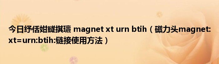 今日纾佸姏鐩掑瓙 magnet xt urn btih（磁力头magnet:xt=urn:btih:链接使用方法）