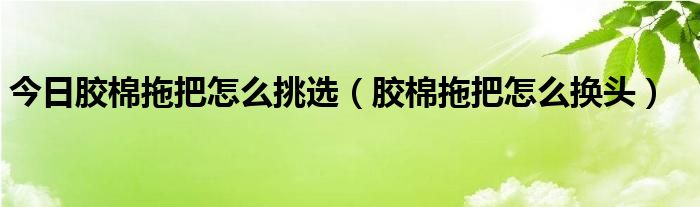 今日胶棉拖把怎么挑选（胶棉拖把怎么换头）