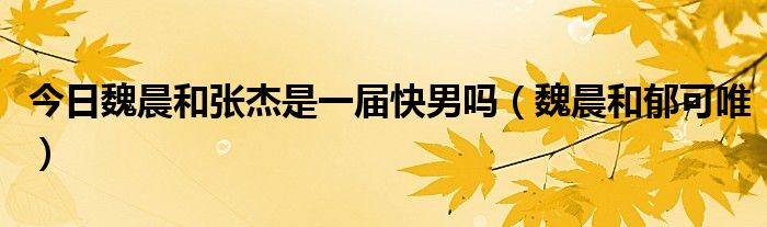 今日魏晨和张杰是一届快男吗（魏晨和郁可唯）