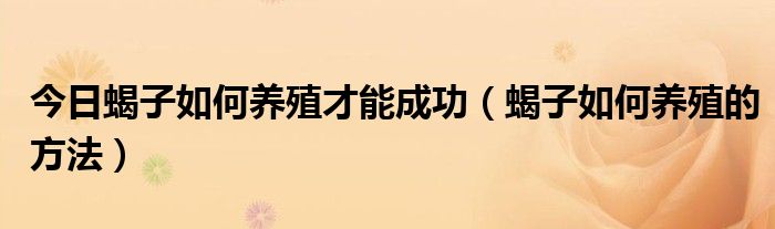 今日蝎子如何养殖才能成功（蝎子如何养殖的方法）