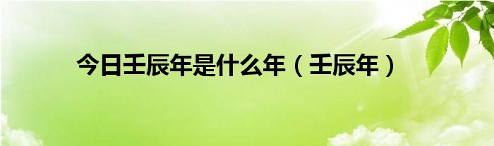 今日壬辰年是什么年（壬辰年）