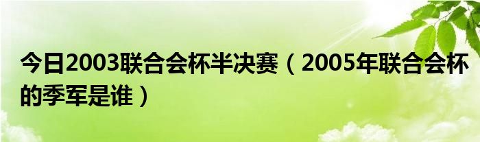 今日2003联合会杯半决赛（2005年联合会杯的季军是谁）