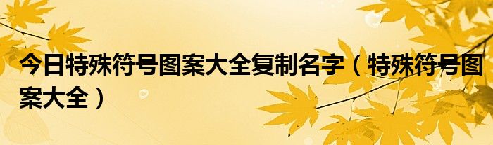 今日特殊符号图案大全复制名字（特殊符号图案大全）