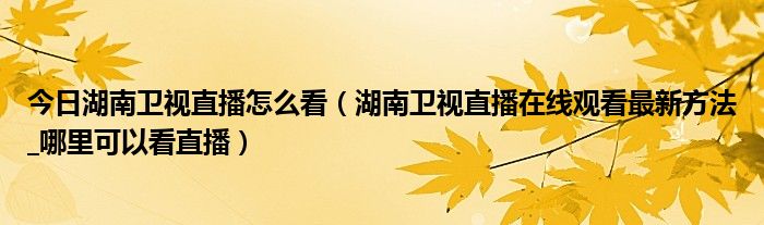 今日湖南卫视直播怎么看（湖南卫视直播在线观看最新方法_哪里可以看直播）