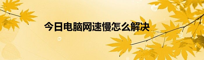 今日电脑网速慢怎么解决