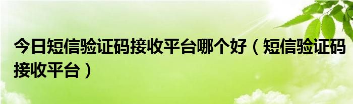 今日短信验证码接收平台哪个好（短信验证码接收平台）