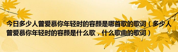 今日多少人曾爱慕你年轻时的容颜是哪首歌的歌词（多少人曾爱慕你年轻时的容颜是什么歌，什么歌曲的歌词）