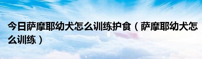 今日萨摩耶幼犬怎么训练护食（萨摩耶幼犬怎么训练）