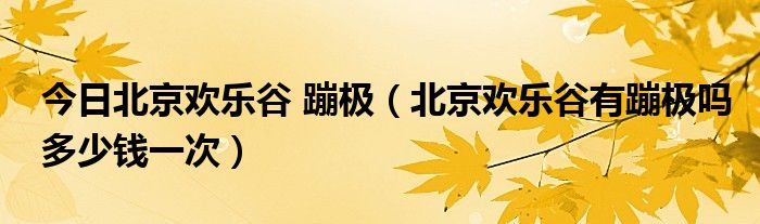 今日北京欢乐谷 蹦极（北京欢乐谷有蹦极吗多少钱一次）