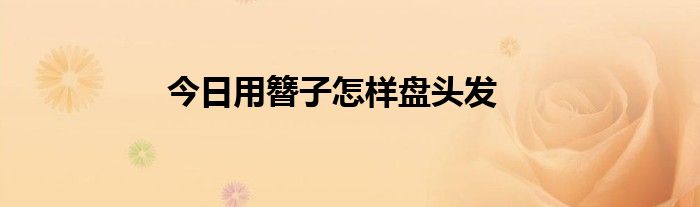 今日用簪子怎样盘头发