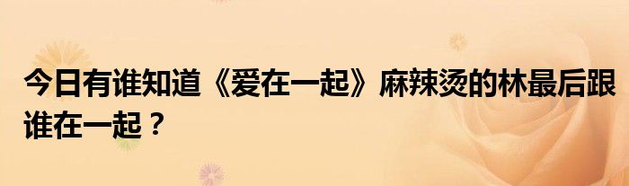 今日有谁知道《爱在一起》麻辣烫的林最后跟谁在一起？