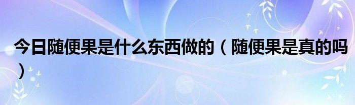 今日随便果是什么东西做的（随便果是真的吗）