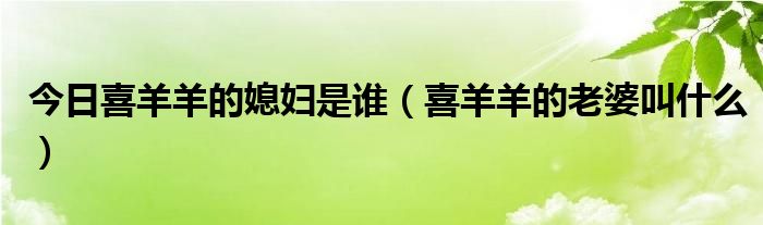 今日喜羊羊的媳妇是谁（喜羊羊的老婆叫什么）