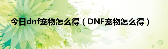 今日dnf宠物怎么得（DNF宠物怎么得）