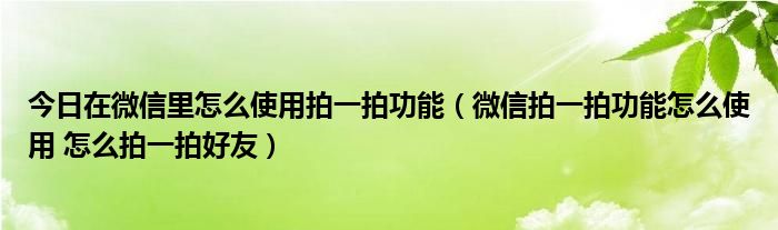 今日在微信里怎么使用拍一拍功能（微信拍一拍功能怎么使用 怎么拍一拍好友）