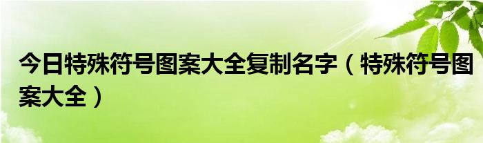 今日特殊符号图案大全复制名字（特殊符号图案大全）