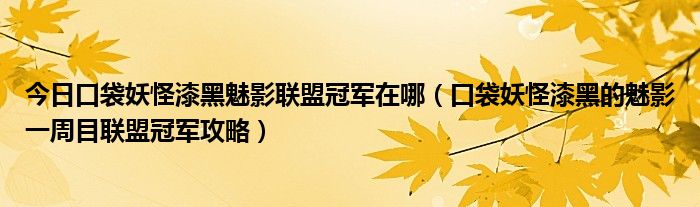 今日口袋妖怪漆黑魅影联盟冠军在哪（口袋妖怪漆黑的魅影一周目联盟冠军攻略）