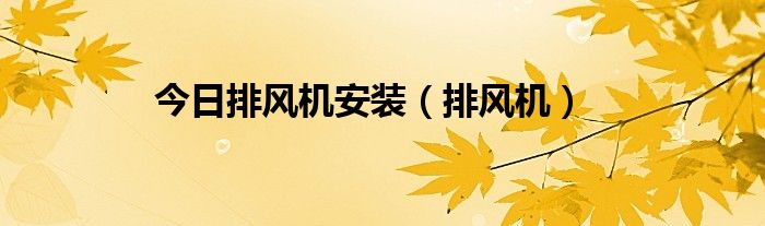 今日排风机安装（排风机）