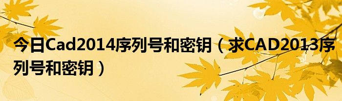 今日Cad2014序列号和密钥（求CAD2013序列号和密钥）