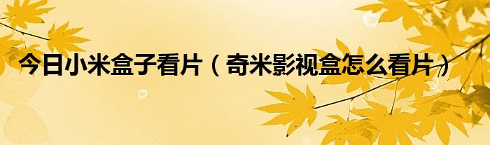 今日小米盒子看片（奇米影视盒怎么看片）