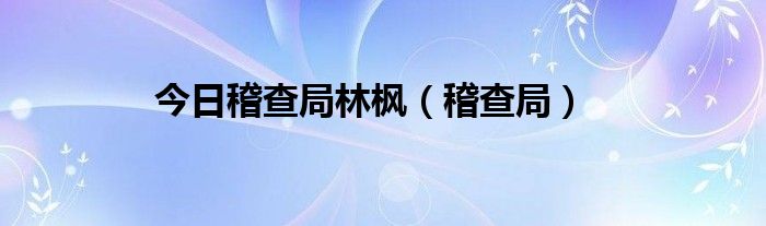 今日稽查局林枫（稽查局）