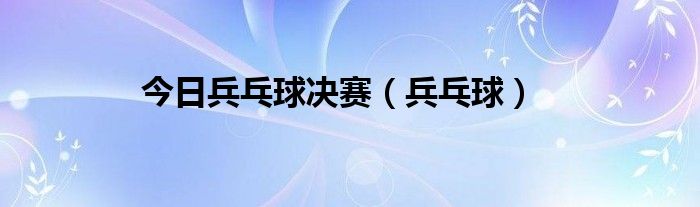 今日兵乓球决赛（兵乓球）