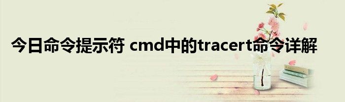 今日命令提示符 cmd中的tracert命令详解