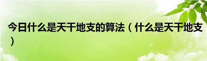 今日什么是天干地支的算法（什么是天干地支）