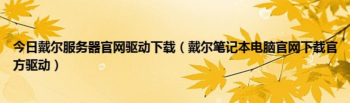 今日戴尔服务器官网驱动下载（戴尔笔记本电脑官网下载官方驱动）