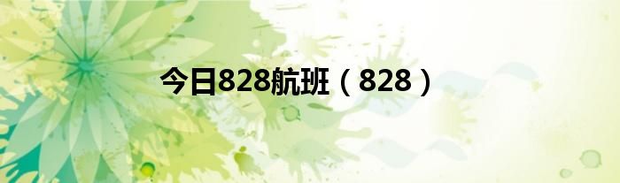 今日828航班（828）