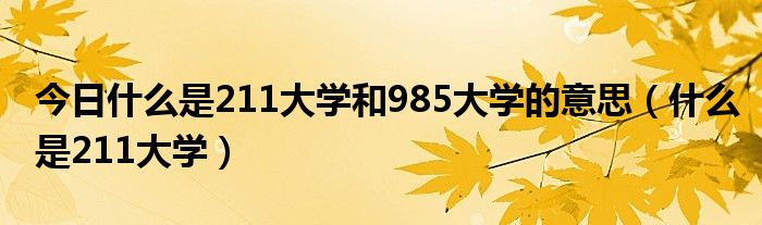 今日什么是211大学和985大学的意思（什么是211大学）