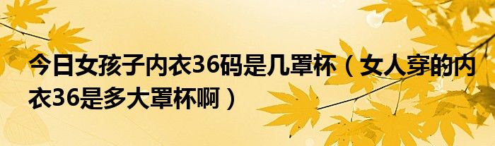 今日女孩子内衣36码是几罩杯（女人穿的内衣36是多大罩杯啊）