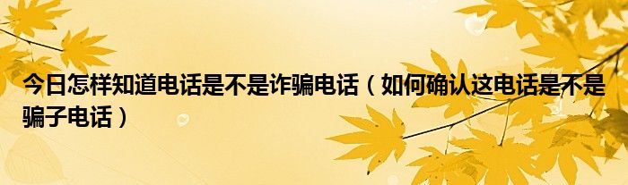 今日怎样知道电话是不是诈骗电话（如何确认这电话是不是骗子电话）