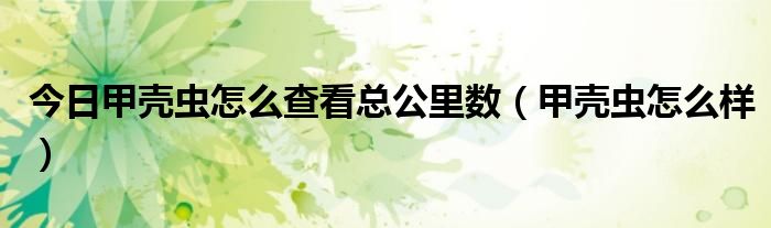 今日甲壳虫怎么查看总公里数（甲壳虫怎么样）