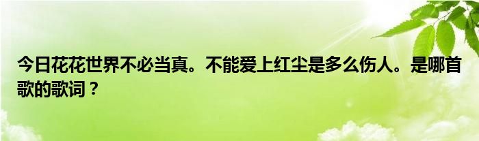 今日花花世界不必当真。不能爱上红尘是多么伤人。是哪首歌的歌词？