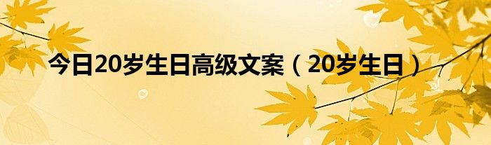 今日20岁生日高级文案（20岁生日）