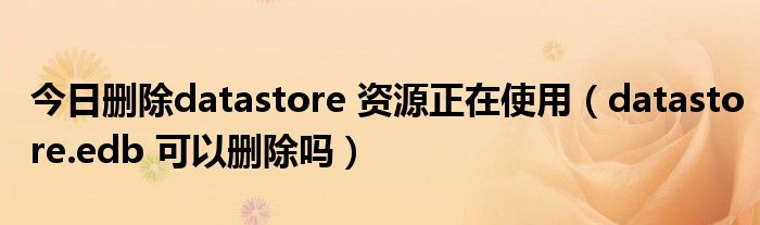 今日删除datastore 资源正在使用（datastore.edb 可以删除吗）