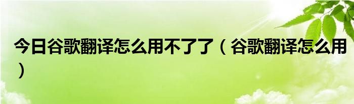 今日谷歌翻译怎么用不了了（谷歌翻译怎么用）