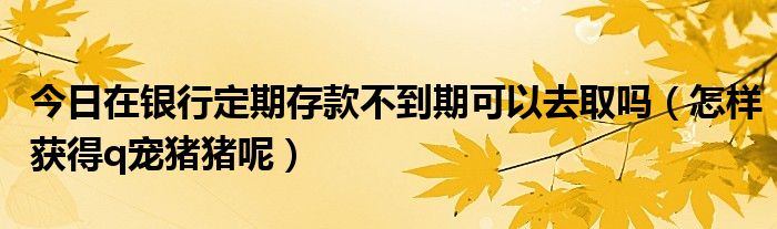 今日在银行定期存款不到期可以去取吗（怎样获得q宠猪猪呢）