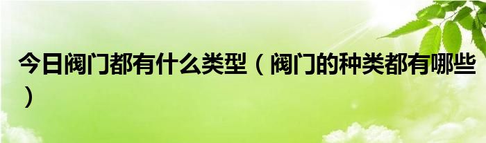 今日阀门都有什么类型（阀门的种类都有哪些）