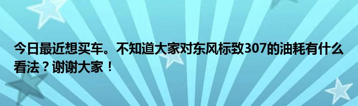 今日最近想买车。不知道大家对东风标致307的油耗有什么看法？谢谢大家！