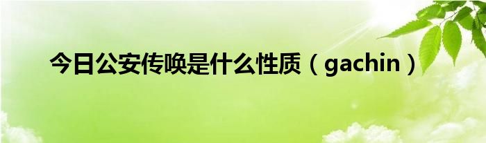 今日公安传唤是什么性质（gachin）