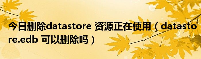 今日删除datastore 资源正在使用（datastore.edb 可以删除吗）